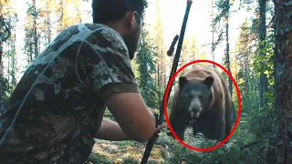 A Breathtaking Confrontation Between a Grizzly Bear and a Hunter