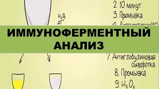 Иммуноферментный анализ (ИФА)