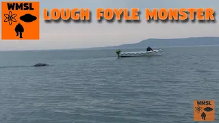 Weird Monster of Lough Foyle Caught on Camera