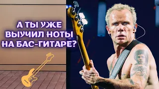 Универсальный способ выучить ноты на грифе бас-гитары!