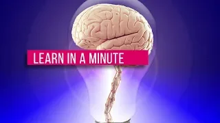 Learn in a Minute Episode 1: Bird Brain