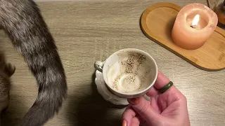 Чашка дня! Знаки на кофейной гуще ☕️