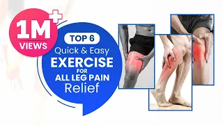 Top 6 Quick and Easy Exercise for All Leg Pain Relief Problems, Seated - Ankle Pain, Leg Muscle Pain