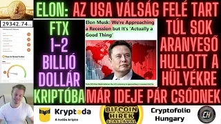 Bitcoin Hírek (708) - Elon:Az USA Válság felé tart❗Túl sok AranyEső hullot a Hülyékre,kell pár Csőd❗