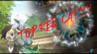 Lineage2 Chronos - This time I got a Top Red Cat