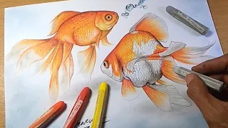 MUDAH!! MENGGAMBAR IKAN MAS Dengan CRAYON | GOLDFISH REALISTIC DRAWING