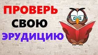 ТЕСТ на ЭРУДИЦИЮ проверит работу вашего мозга. Викторина с ответами