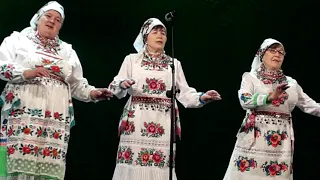 Гармонь Пайрем. Ансамбль Пеледыш Аршаш, с. Чкарино