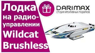 Лодка на радиоуправлении Wildcat Brushless купить в Москве в интернет-магазине подарков.