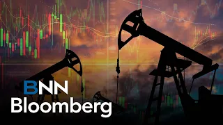 We are no longer in a world where US$150/bbl for oil is on the table: portfolio manager