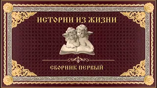 Истории из жизни. Сборник первый