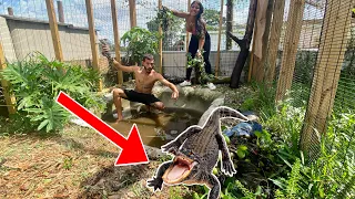 CATCHING ALL MY GATORS + DEEP CLEANING THE ENCLOSURE! *CRAZY*