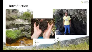 February 2019 Webinar - Valley Bottom Palmiet Wetlands: Mysterious Peatlands in Southern Africa