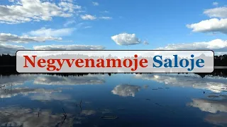 Trijų dienų Nuotykis Negyvenamoje Saloje - Gabrielius Ser