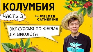 Колумбия || Экскурсия по ферме Ла Виолета || Колумбийский терруар и особенности выращивания кофе