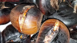 How to make roasted chestnuts with Haeger electric grill. 4K UHD