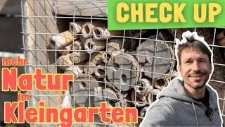 Kleingarten Check up: wie naturnah ist unser Garten | Gartenrundgang  im Mai im Naturgarten