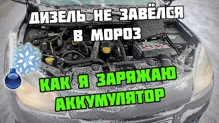 Как зарядить аккумулятор | Мороз и неудачный запуск дизельного Рено Меган 3 | Renault Megane III dci