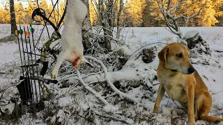 Jänismiehen Päiväkirja, osa 3.