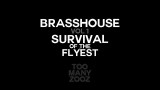 Too Many Zooz - Flightning (Audio) | Brasshouse Volume 1