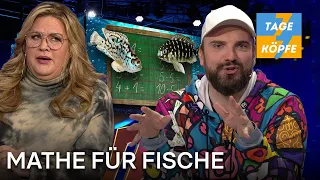 Die absurdeste Studie: Können Fische rechnen? | Folge 10 | 7 Tage, 7 Köpfe