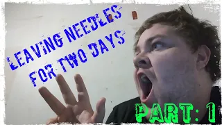 TheaRTG Vlogs [Leaving Needles CA for 2 days] (part 1)