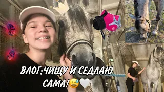 VLOG:ЧИЩУ, СЕДЛАЮ САМА!ТРЕНИРОВКА.ВЛОГ НА КОНЮШНЕ😉🤍#влог#конныйспорт