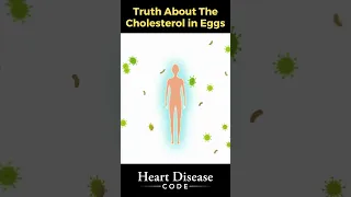 Truth About The Cholesterol In Eggs #shorts
