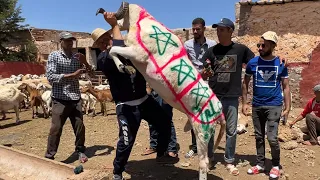 الله الله على الأجواء العالمية🔥❤️ لي دازت فيها الدزازة✂️ هد العام عند عبد الحق ابن الرضى🇲🇦🏆