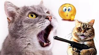 Cutest pets videos 2024 |not try to laugh🥰😻|The most funny animals videos