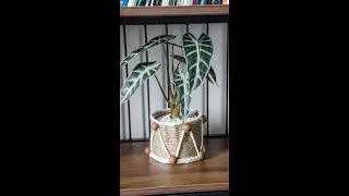Diy plant pots from recycled materials for home decor - Jute rope craft ideas - TA Diy