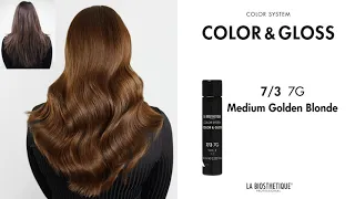 Color & Gloss New Shades — Presentation