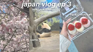 japan vlog ep 3 🍡 best foods to eat at tsukiji market, ueno zoo, go karting in tokyo, ginza shopping