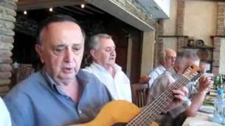 Friends meeting for "Janooba" [Georgian table songs]