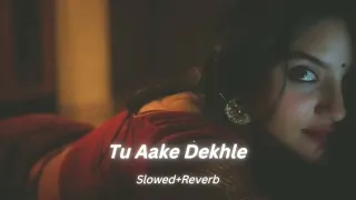 Tu Aake Dekhle - KING (slowed+reverb) #slowed #reverb #music #india