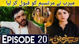 Tere Bin Episode 20 New Promo | Tere Bin Ep 20 Promo Har Pal Geo Dramas