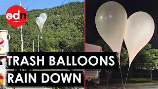 Why Did North Korea Launch BIZARRE Balloon Attack on South?