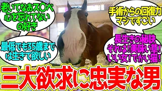 ドットさん ← この鼻が俺を狂わせる…に対するみんなの反応！【競馬 の反応集】