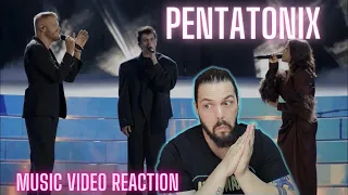 Pentatonix - Shallow (Live at the Hollywood Bowl) -  First Time Reaction