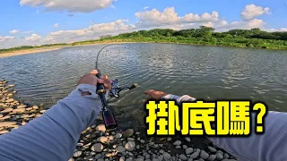 大漢溪河床，路亞一次搞定五種路亞魚種