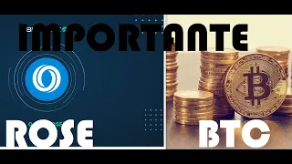 BITCOIN Y ROSE:¡A TENER CUIDADO! Analisis BTC HOY Oasis Network ONE NEO TVK KDA OMI