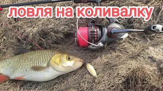 Рибалка на коливалку  !! ловля риби в траві рибалка на спінінг літом