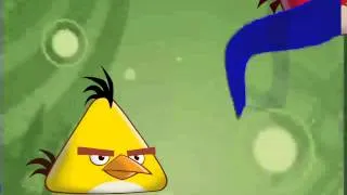 the new ANGRY BIRDS TOONS NEXT Bumper