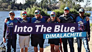 Into The Blue volume :1 Dimalachite
