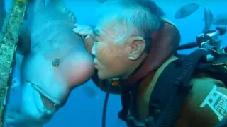 This Japanese Diver Visits His Underwater Friend For More Than 30 Years