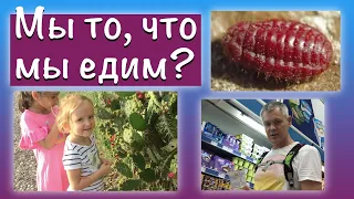 🟢 Мы все едим насекомых 🕸?! Странные пищевые добавки 🍬, опунция кактус, кармин, кошениль, Е120.