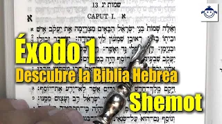 🛑 Éxodo 1 / Descubre la Biblia Hebrea (Estudio Bíblico) Raíces Hebreas ¿Qué dice la Biblia?