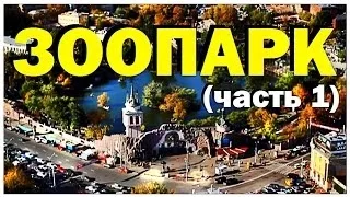 Галилео. Зоопарк (часть 1)