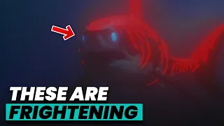 WHY SHARKS GET SCARY THE DEEPER YOU GO!