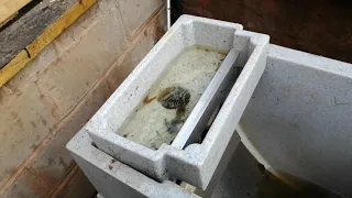 Purging bottom drain through Cetus Sieve filter.